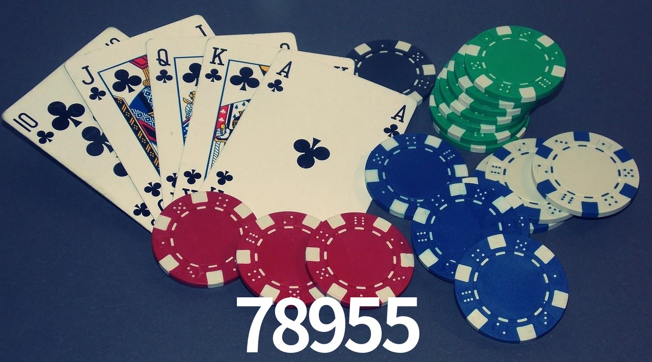 Player Reviews 78955